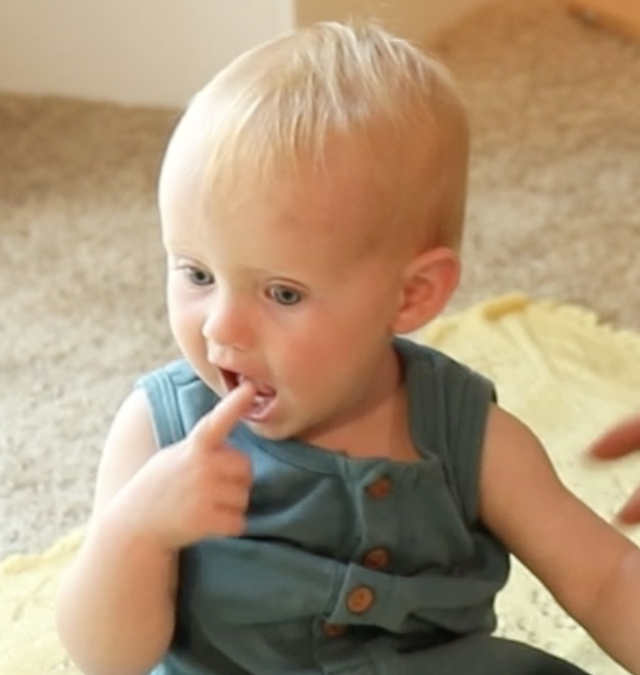 When to Start Teaching Baby Sign Language