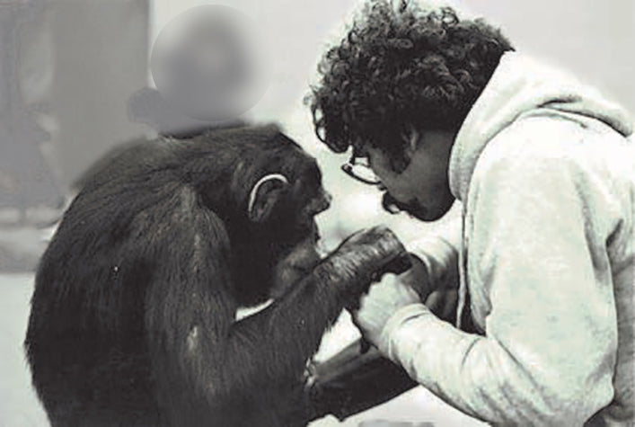 Chimps Using Sign Language Dr. Joseph Garcia communicates with chimps using sign language – Baby ...